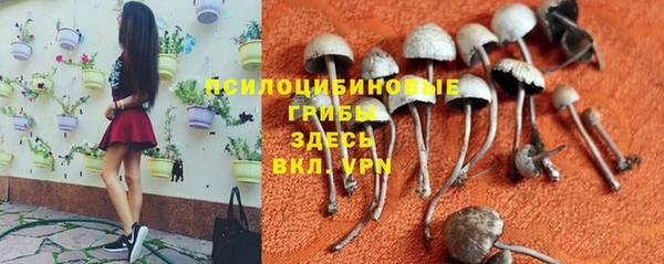 спиды Балахна