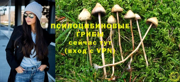 мет Баксан